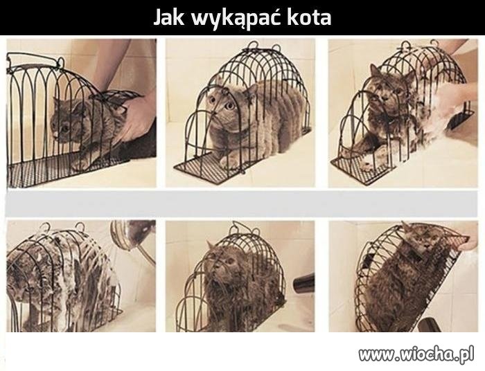 Ale zło
