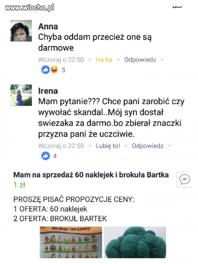 Świeżaki i kaRyny 