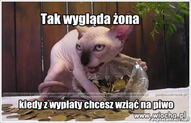 Jak to jest panowie ??