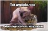 Jak to jest panowie ??
