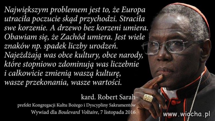 Każdy komentarz jest tu zbyteczny. 