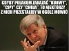 Prof. Miodek 