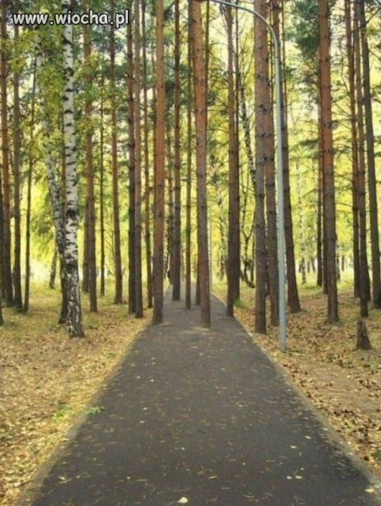 I teraz spróbuj jechać