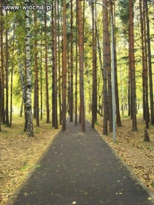 I teraz spróbuj jechać
