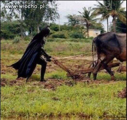 Batman do babci.