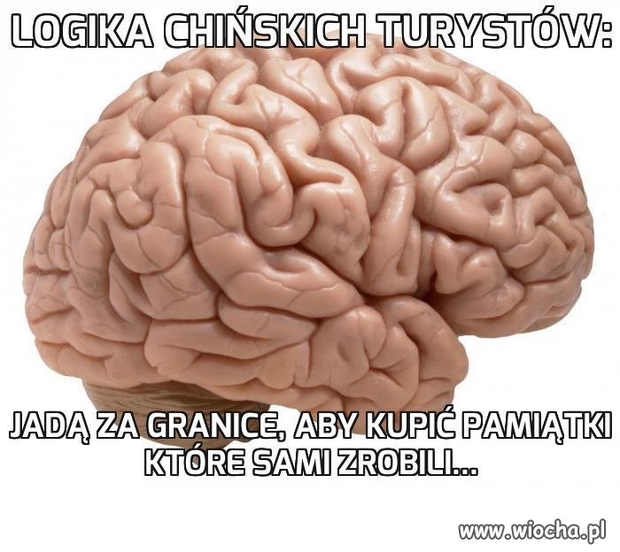 Logika chińskich turystów