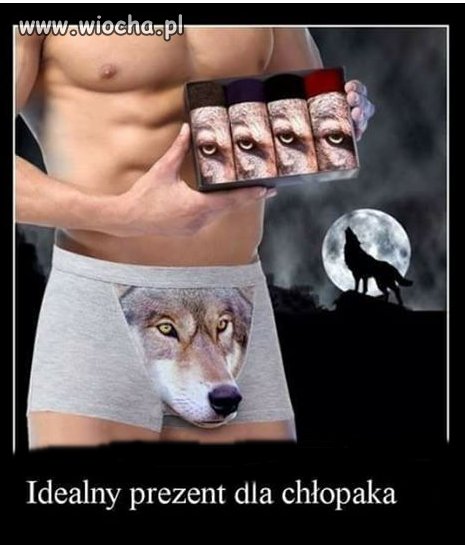 Jak pies 