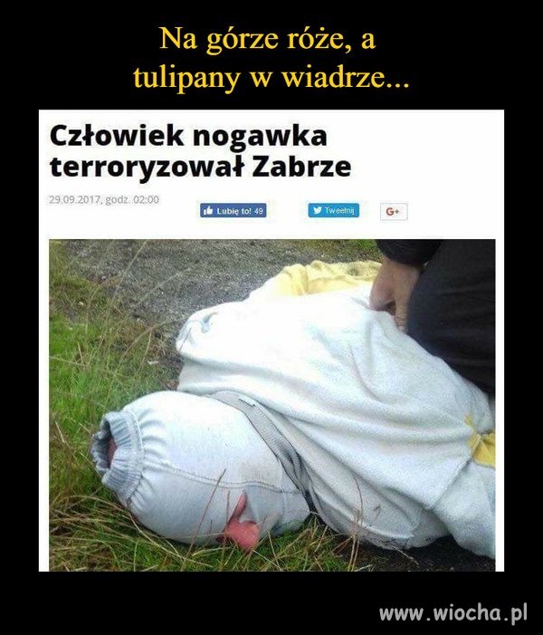 Z cyklu: Kryminalne historie