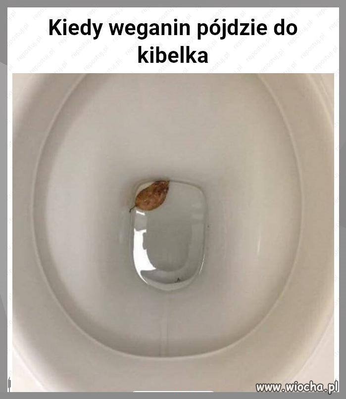 Kiedy wegan sie 