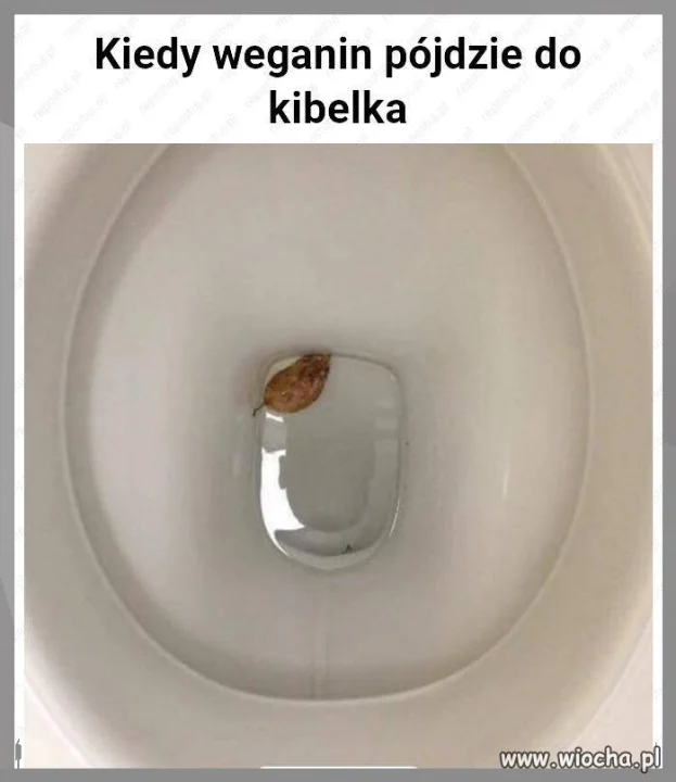Kiedy wegan sie 