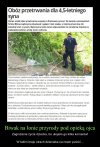 Ingerowanie urzędnika państwowego