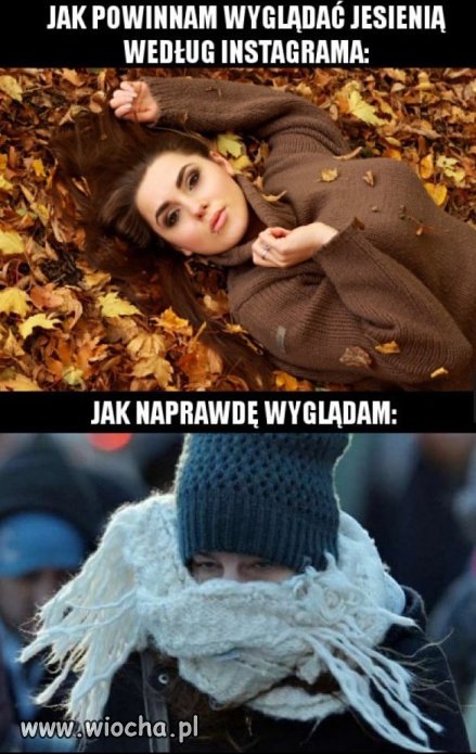 Kobiety z internetu.