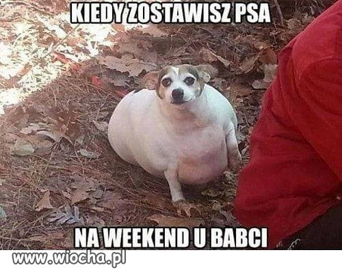 Kiedy zostawisz na weekend