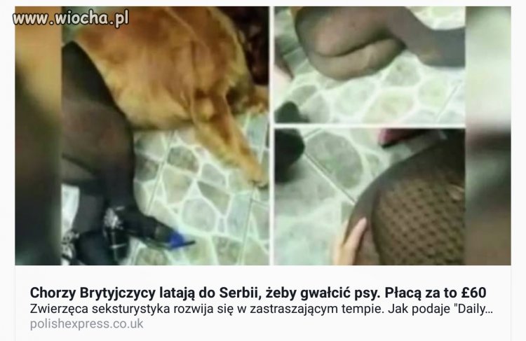 Naukę pewnie dostali od Kozojebców
