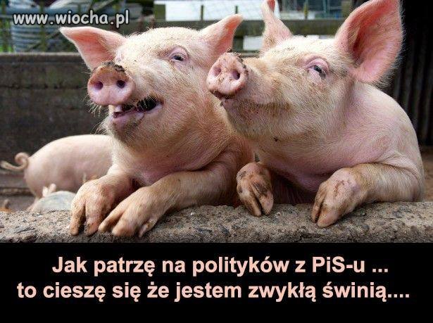 Nie ma co im się dziwić