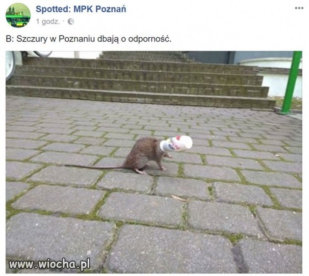 Dbanie o odporność