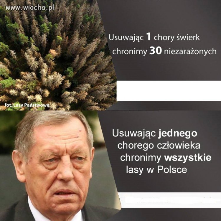 Tyle w temacie