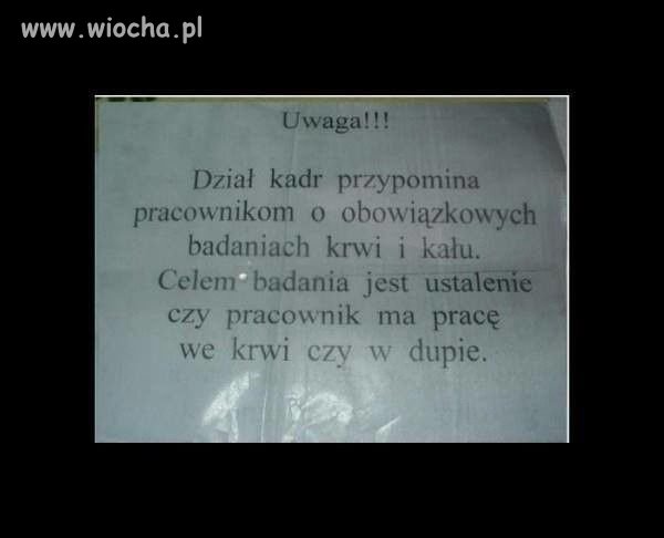 Ogłoszenie