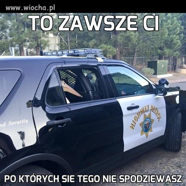 To zawsze ci