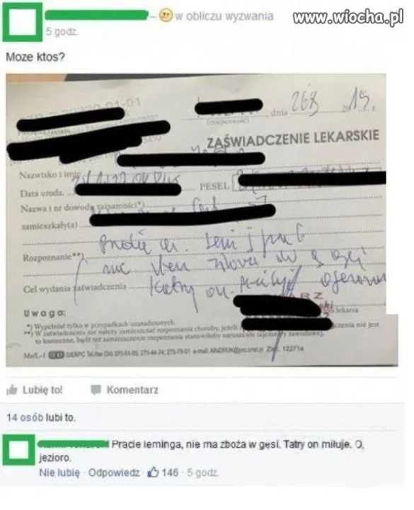 Przetłumaczy ktoś?