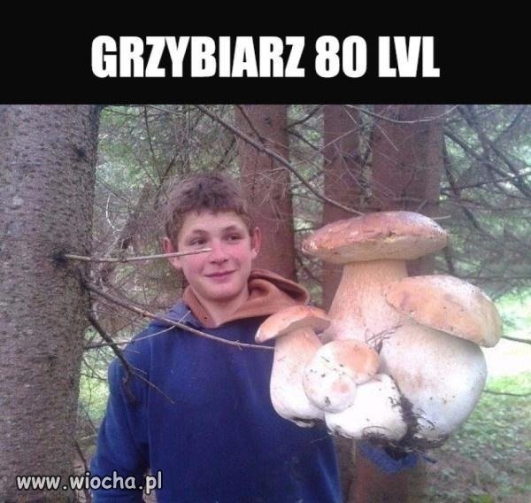 Grzybiarz