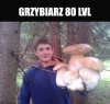 Grzybiarz