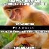 DYSKO POLO...