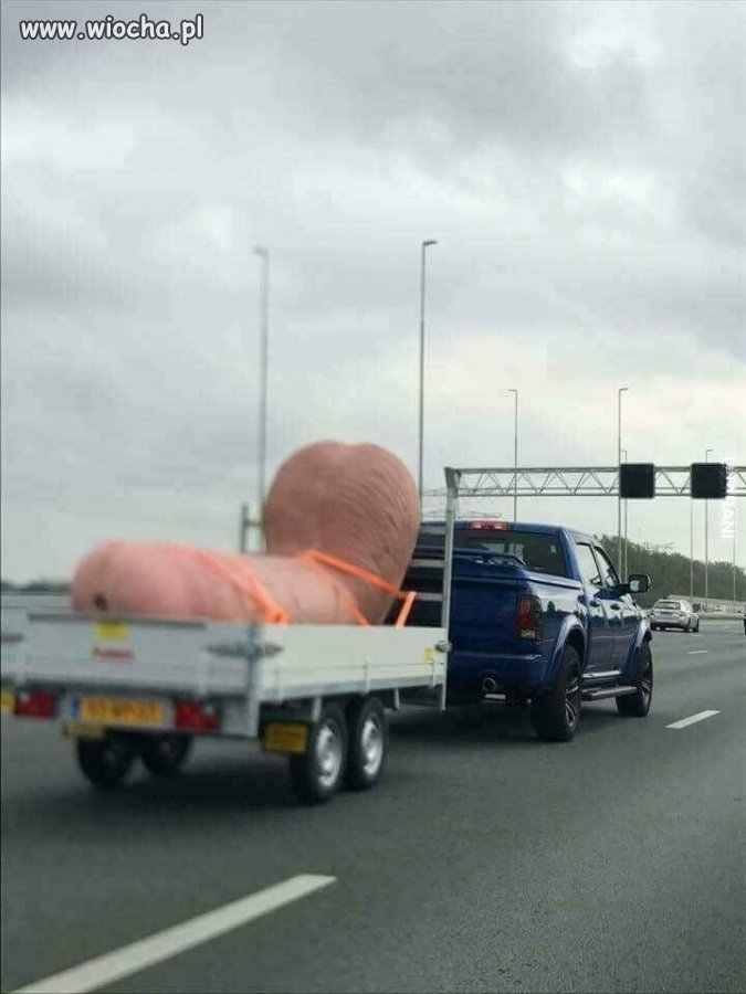 Ma bardzo wybredną żonę?