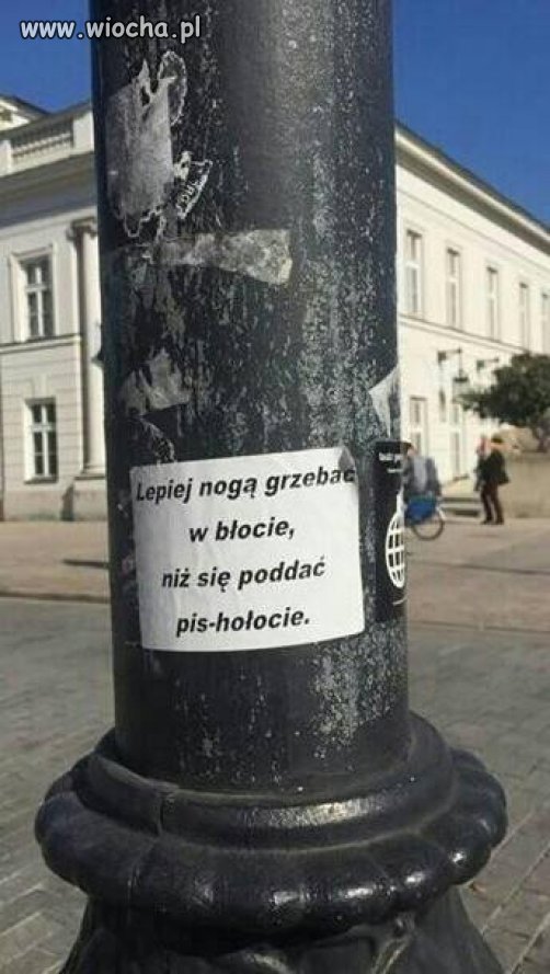 Głos miasta...