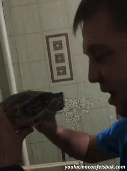 A nie będziesz mi tu merdał jęzorem