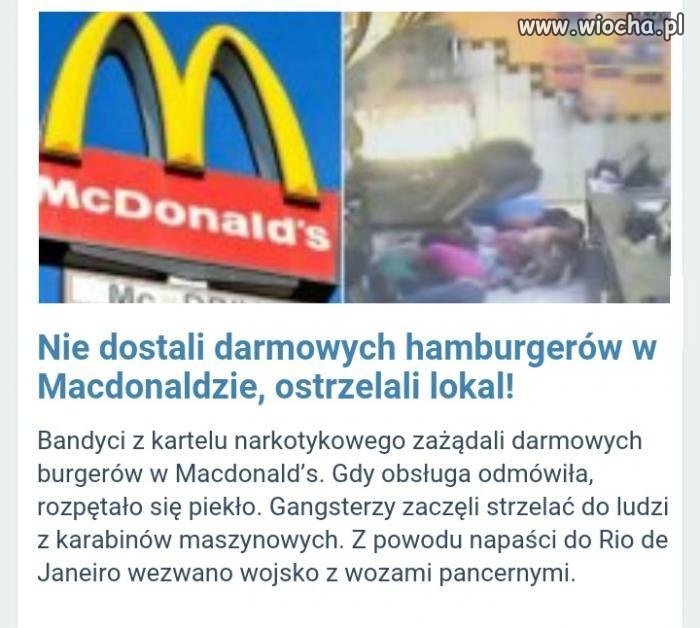 Nie dla psa