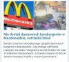 Nie dla psa