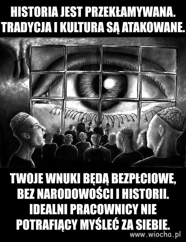 Coś w tym jest! 