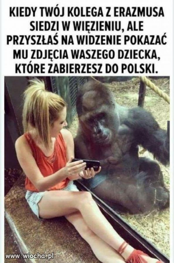 Jakie to słodkie