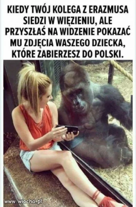Jakie to słodkie