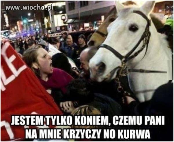 No co jest?