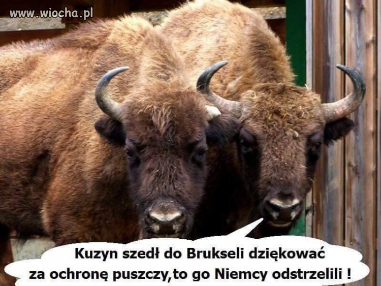 Ależ to prawdziwe...