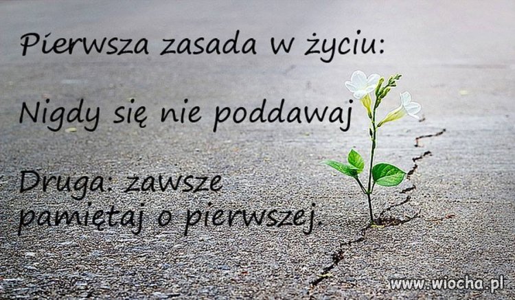 Pamiętaj o pierwszej 