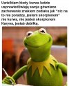 To nie jest usprawiedliwienie