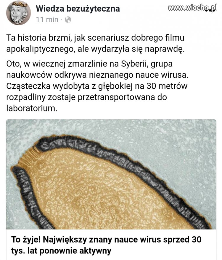Masakra 