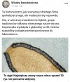 Masakra 
