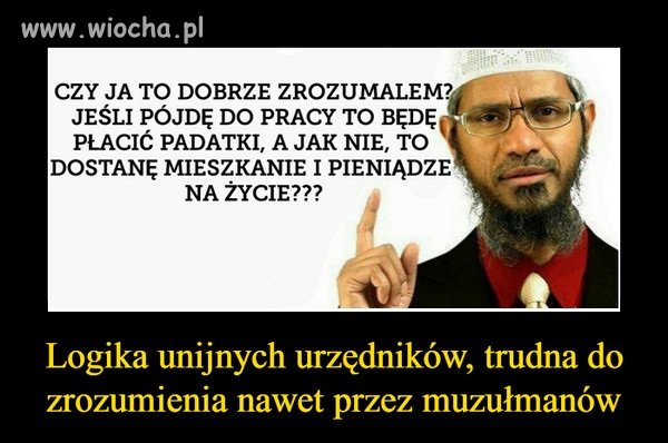 Jednego czego tym emigrantom nie można zarzucić