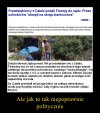Państwo powinno odpowiadać jak ubezpieczyciel.