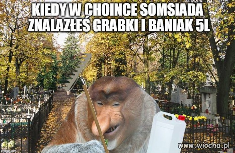 Porządki na dzień Wszystkich Świętych...