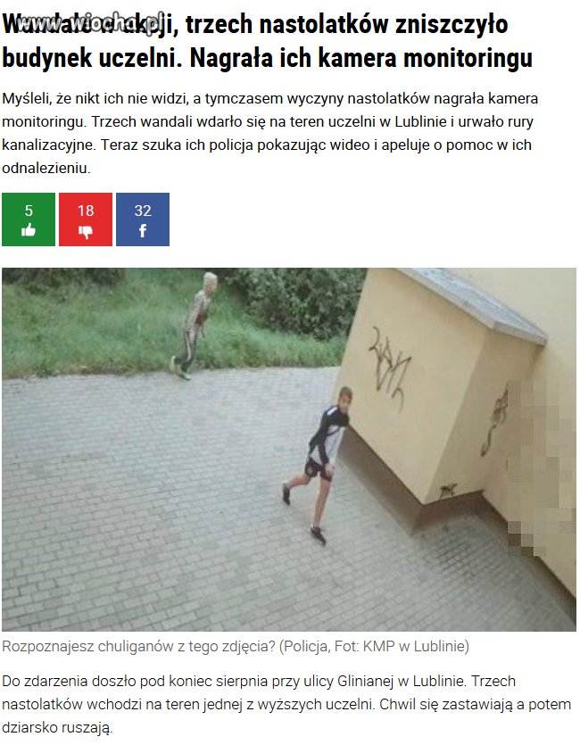 Patola znowu w akcji.