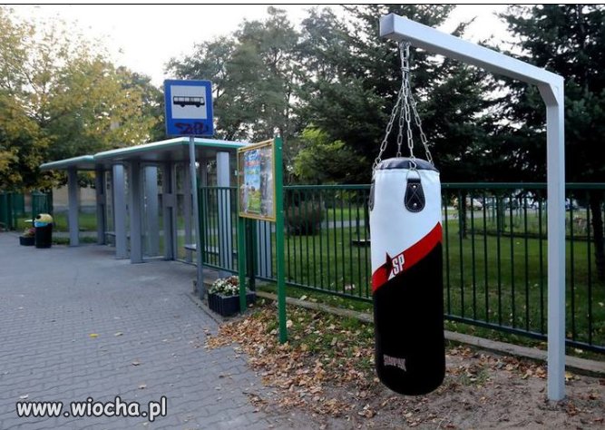 Trzebież Polska...dla normalnych ludzi
