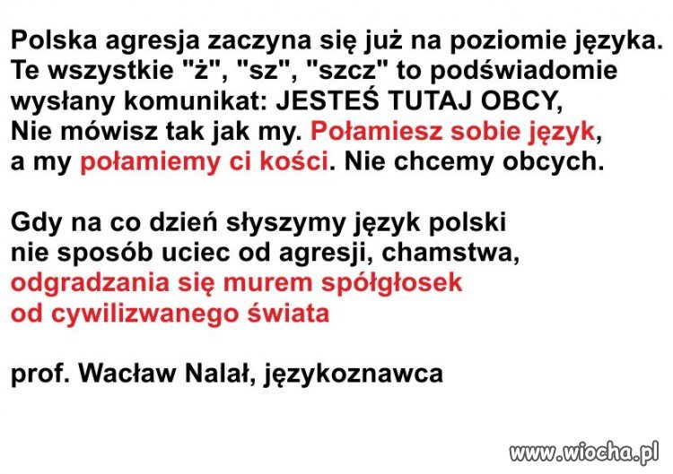  Wypowiedź eksperta.
