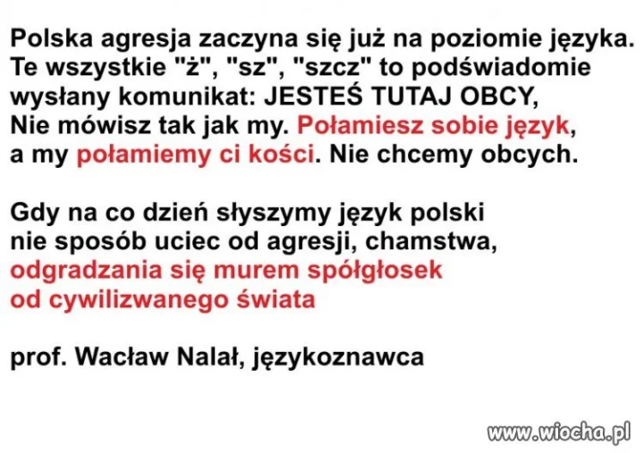  Wypowiedź eksperta.