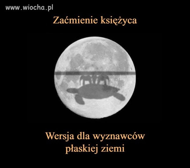 Szach i mat matoły