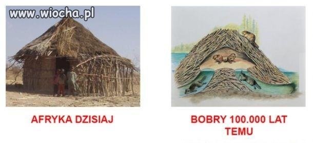 Technologia